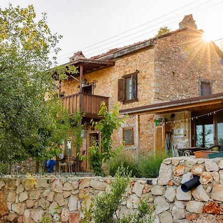 Bademlique Stone Appartement *